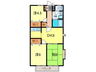 サニ－ハイツの物件間取画像